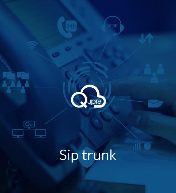 sip_trunk_wo1 SIP Trunk
